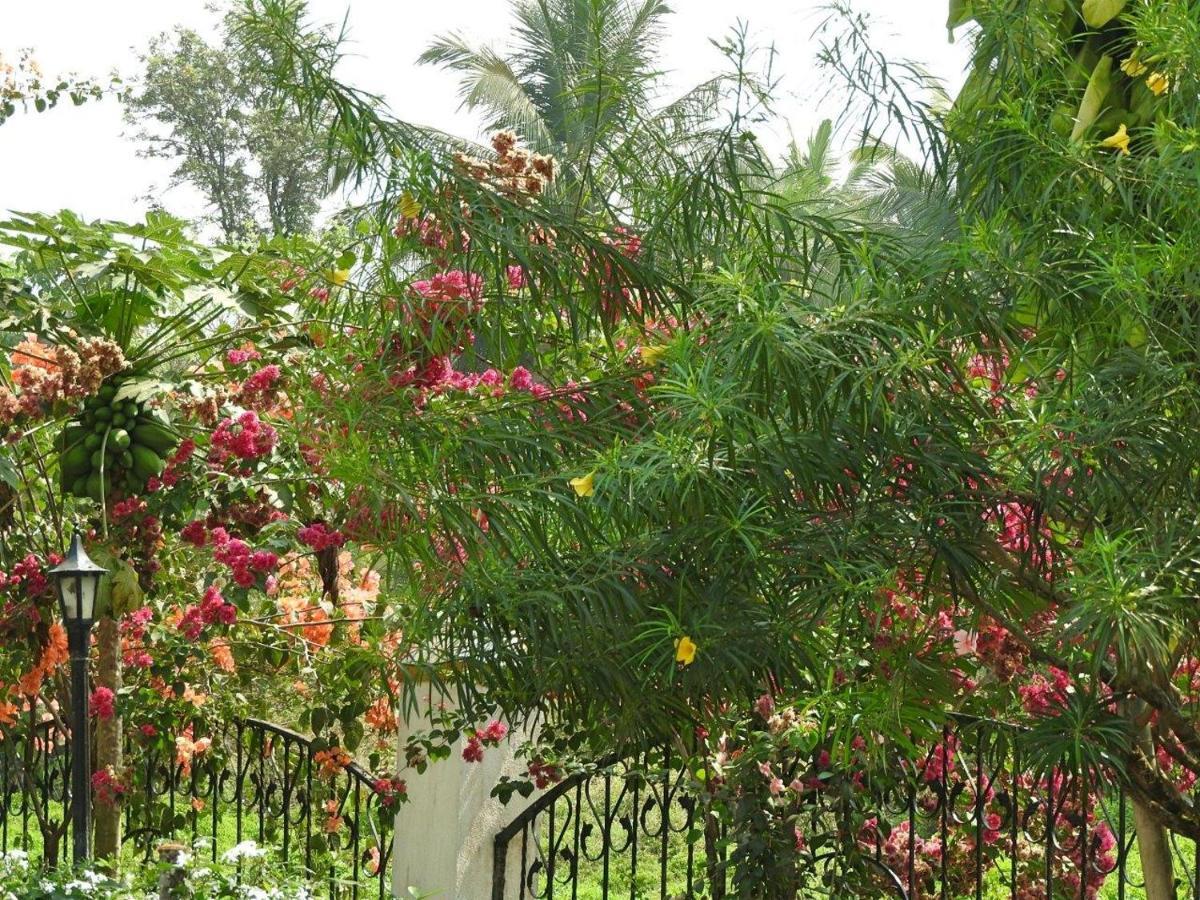 Boutique Villa, 10min, Cook On Request Villa *