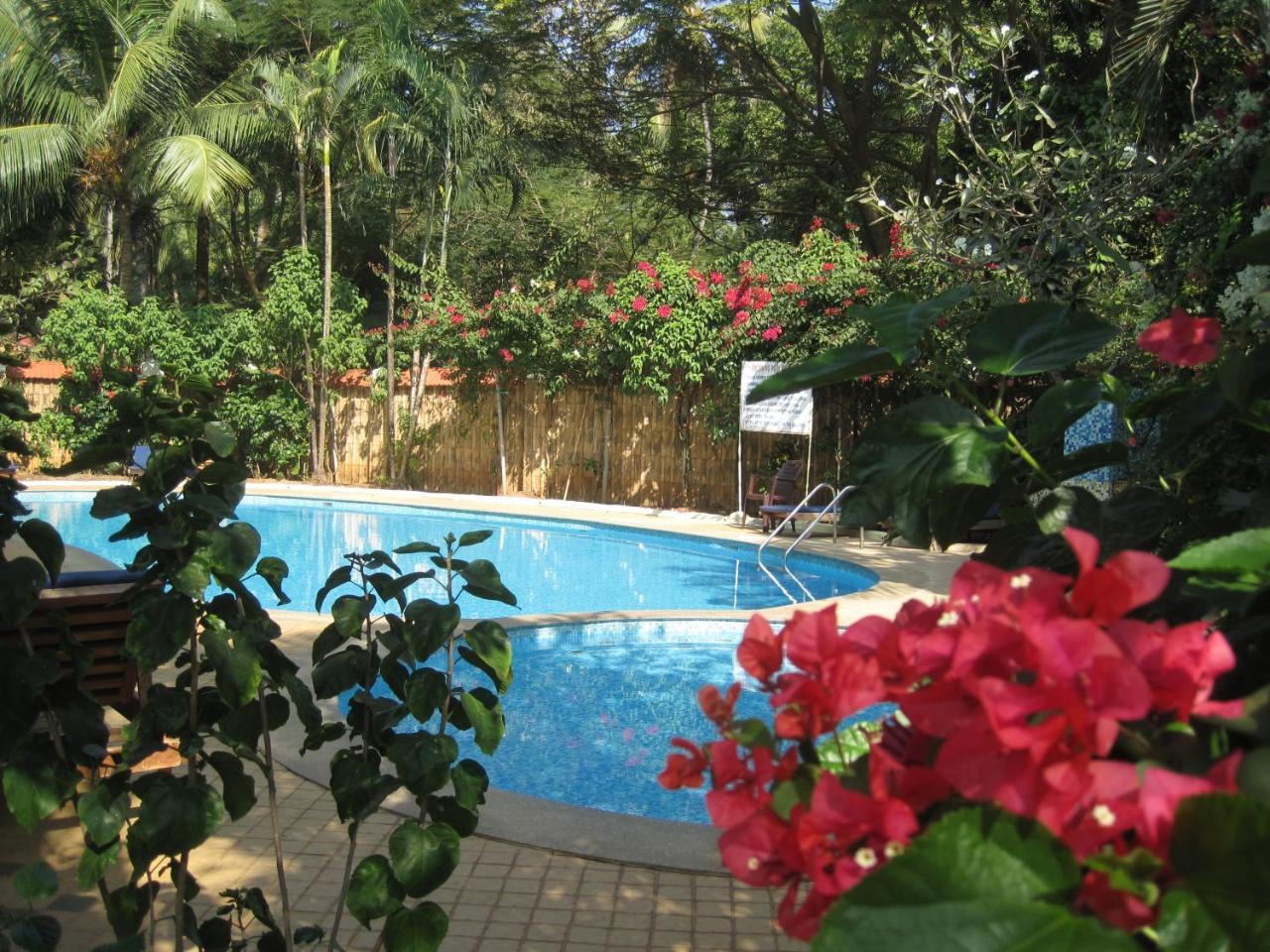 Villa Boutique Villa, 10min, Cook On Request *